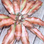 image of bromeliad